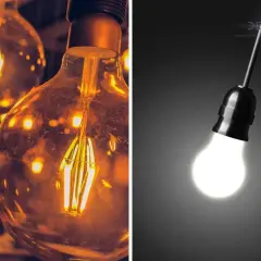 Lampadine a incandescenza: una con luce calda e filamenti visibili, l'altra con luce fredda e brillante. Quale consuma di più?