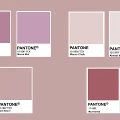 Palette di color malva abbinamenti: Mauve Orchid, Mauve Mist, Mauve Chalk, Almost Mauve, Pale Mauve, Mauvewood.