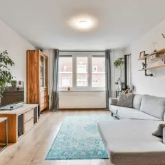 Soggiorno moderno con divano angolare grigio, tappeto blu, mobile TV in legno e libreria. Idee per come dividere casa 100 mq.