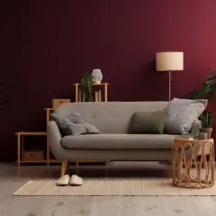 Soggiorno accogliente con divano grigio, piante verdi e pareti color vinaccia intenso.