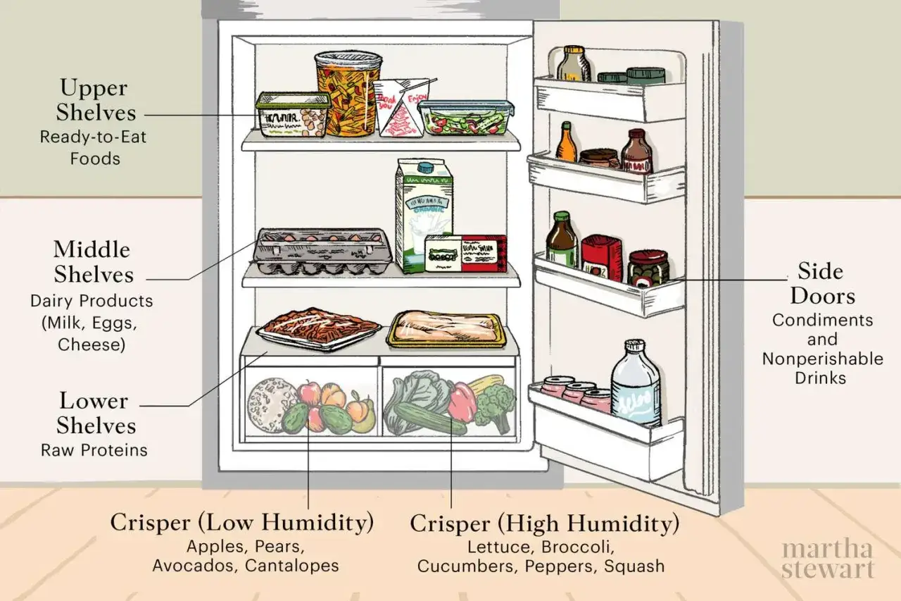 Guida visiva su come organizzare il frigo: cibi pronti in alto, latticini al centro, carne in basso, verdura e frutta nei cassetti.