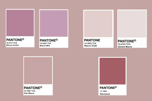 Palette di color malva abbinamenti: Mauve Orchid, Mauve Mist, Mauve Chalk, Almost Mauve, Pale Mauve, Mauvewood.