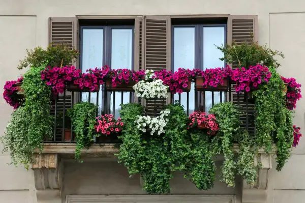 Balcone fiorito con cascate di petunie rosa e bianche, un tripudio di fiori estivi da vaso che incorniciano le finestre.